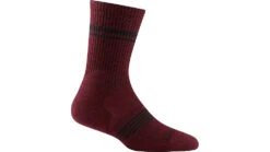 Darn Tough Element Crew Lightweight With Cushion Socks - Womens