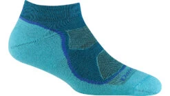 Darn Tough Light Hiker No Show Lightweight With Cushion Socks - Womens