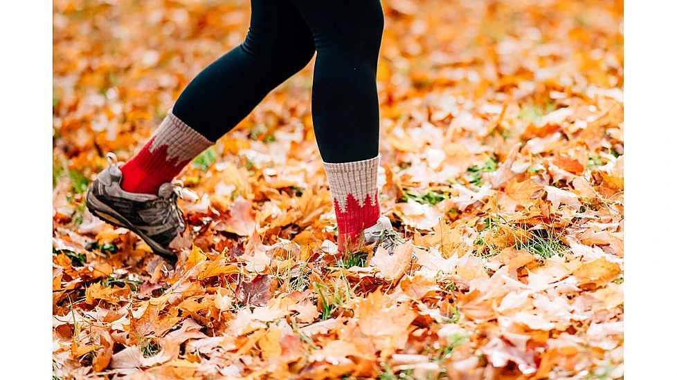 Darn Tough Treeline Micro Crew Midweight Hiking Socks - Women's 4 Darn Tough Treeline Micro Crew Midweight Hiking Socks - Women's - Image 4
